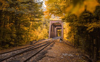 Verkehrspolitiker Lutz Liebscher zum Masterplan Schiene